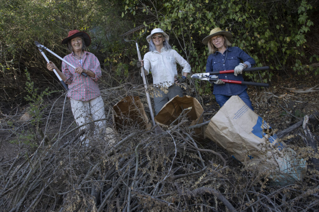 About Bernal Wild